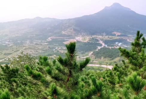 1718327968807286.png image.png