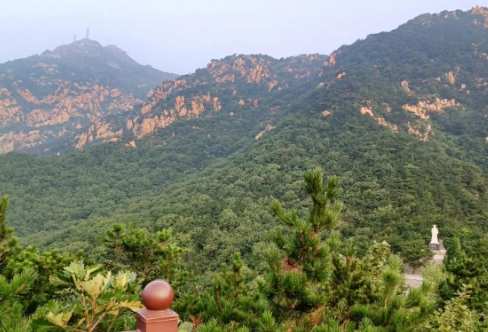 1718328136312711.png image.png