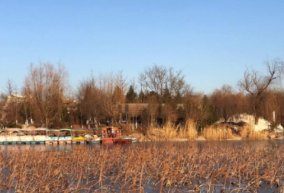 ​幼儿园寄语15篇