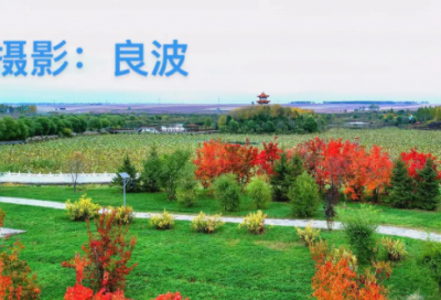 ​农村教育现状调查报告范文（精选8篇）