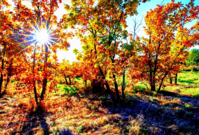 ​工作自我评价（精选20篇）