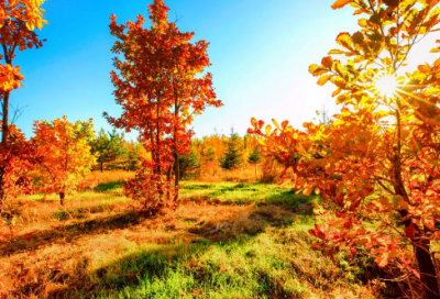 ​幸福课心得体会（通用22篇）