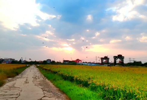 1718332990377594.png image.png