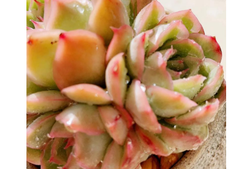 1718333993307599.png image.png