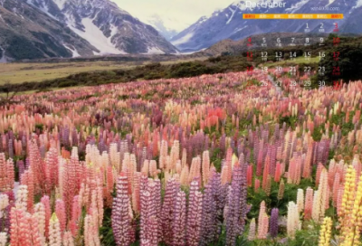 ​大学宿舍文化节活动策划书（通用19篇）