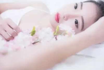 ​含有鹿和狼的歇后语71句