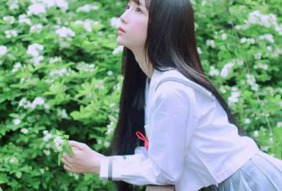 ​有关鹅的歇后语78句